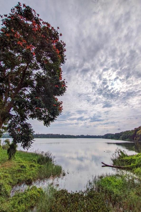 lake image